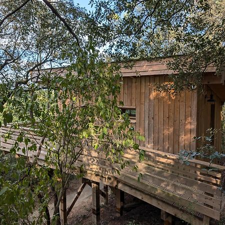 Les Cabanes Dans Les Bois Logis Hotel Villedubert Exterior foto