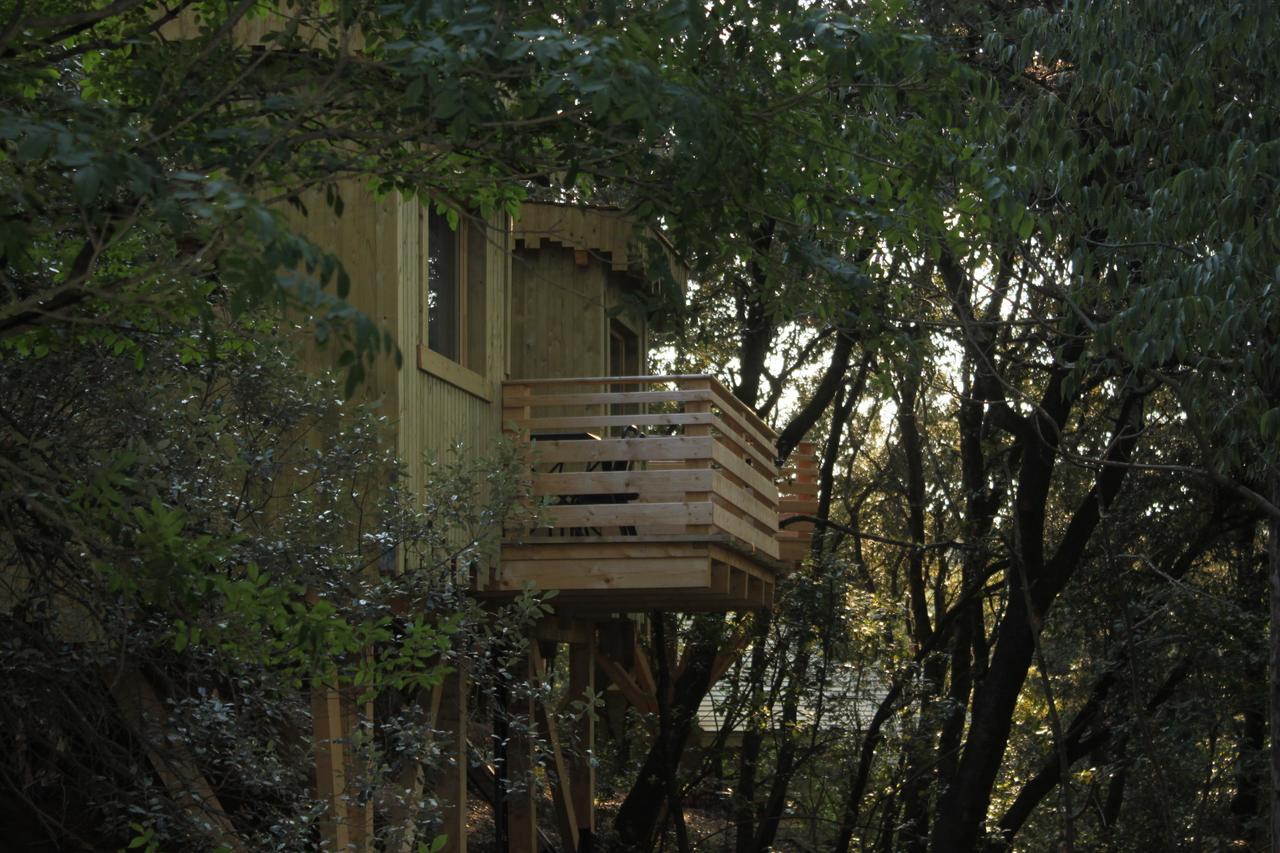 Les Cabanes Dans Les Bois Logis Hotel Villedubert Quarto foto