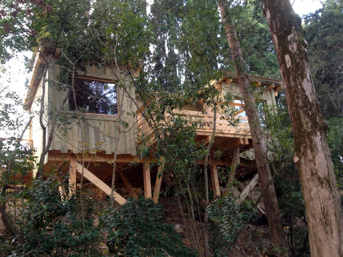 Les Cabanes Dans Les Bois Logis Hotel Villedubert Quarto foto