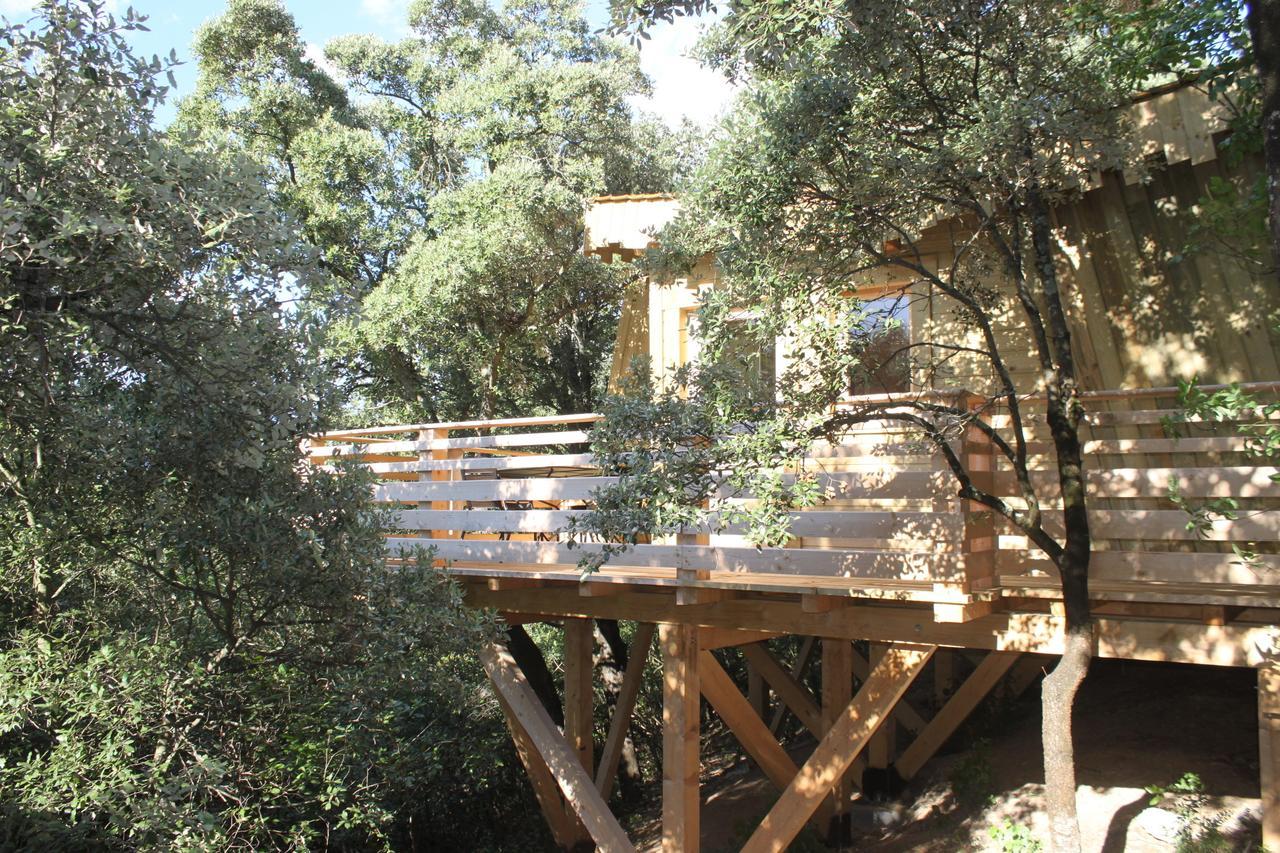 Les Cabanes Dans Les Bois Logis Hotel Villedubert Quarto foto