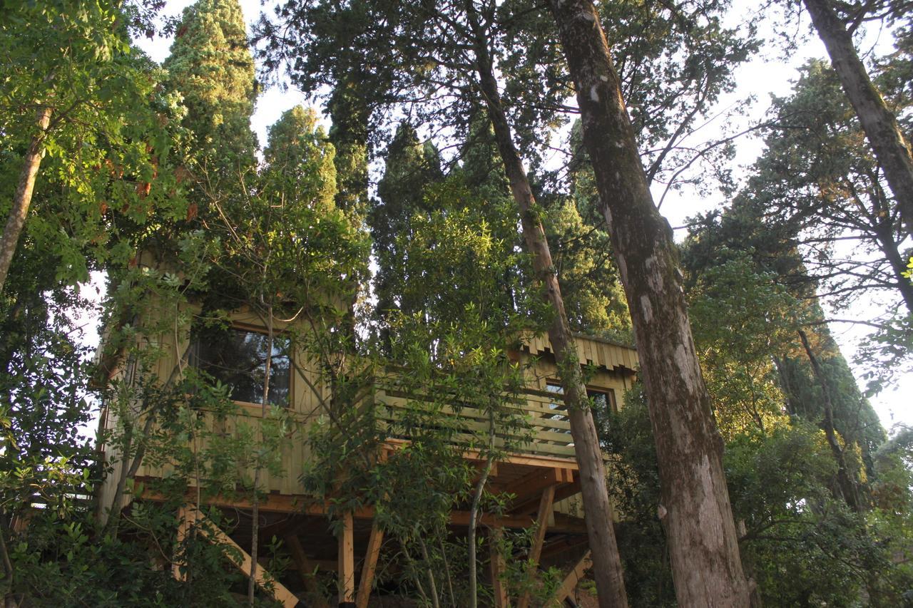 Les Cabanes Dans Les Bois Logis Hotel Villedubert Quarto foto