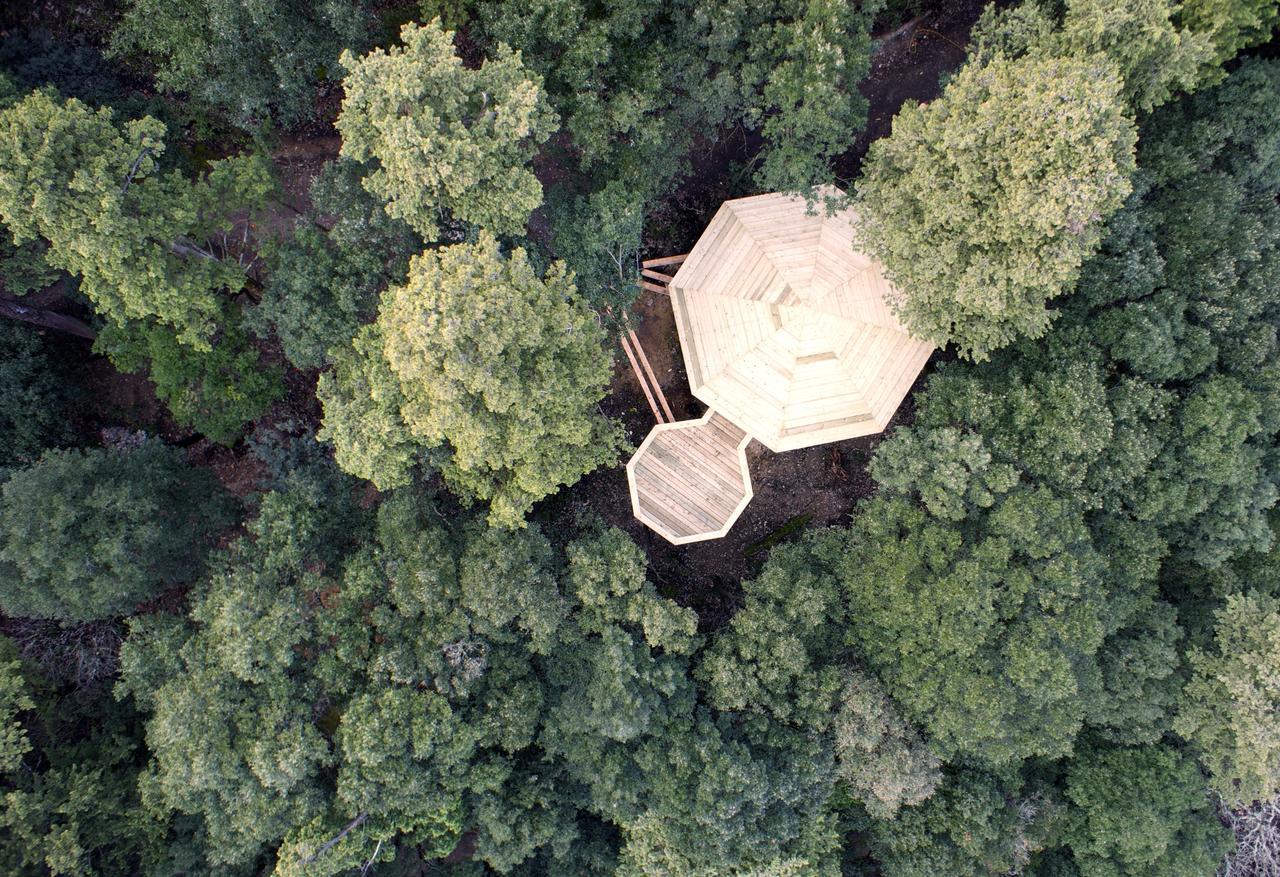 Les Cabanes Dans Les Bois Logis Hotel Villedubert Exterior foto