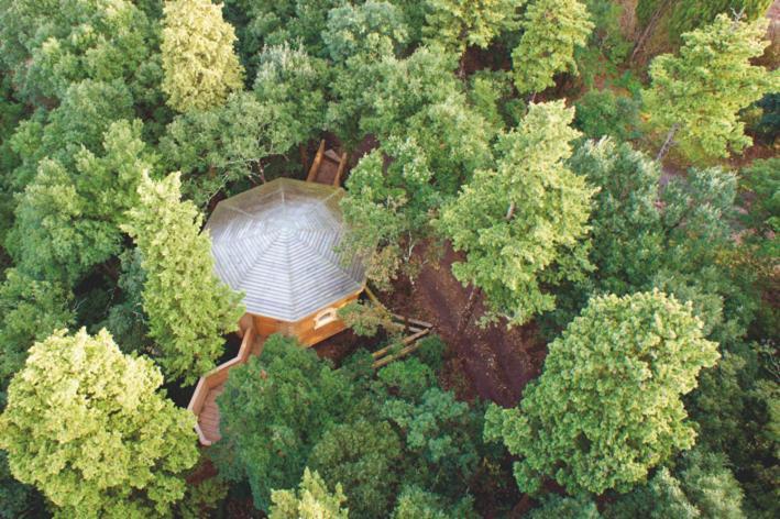 Les Cabanes Dans Les Bois Logis Hotel Villedubert Exterior foto